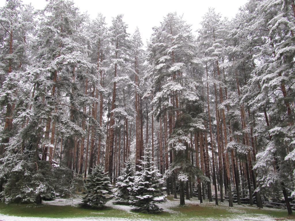 Apartments Markoni Zlatibor Bagian luar foto